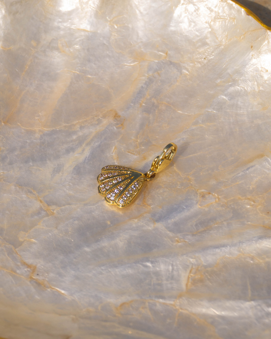 Iced Shell